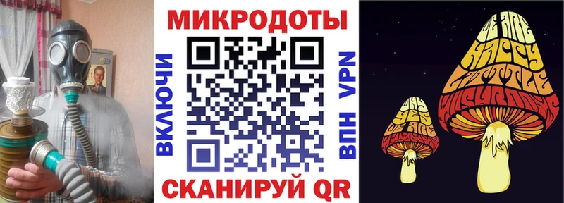 Купить где  Касимов  Галлюциногенные грибы Psilocybe 