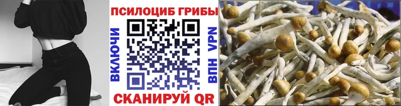 Псилоцибиновые грибы мухоморы Касимов